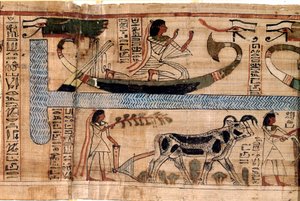 Egyptian antiquity: the name of the late Aner represents on the boat of Osiris, scene of plowing and weighing of souls (psychostasis). Papyrus from a Book of the Dead, 20th dynasty, from Thebes. Turin, Egyptian museum