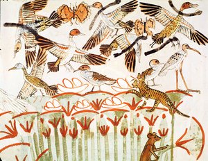 Fishing and fowling in the marshes, detail of the birds, from the Tomb Chapel of Menna, New Kingdom (wall painting) by Egyptian 18th Dynasty