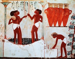 Illustration of Rural Daily Life: Plucking Fowls and Grape Harvesting, from Nakht Tomb in Thebes