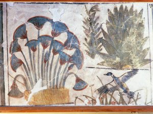 Duck Between Plants, from Palace of Akhenaton, El-Awara, Egypt