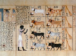 Papyrus Depicting Oxen, from Book of the Dead of Maiherperi