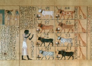 Papyrus depicting oxen, from Book of the Dead of Maiherperi