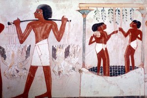 Unknown Image