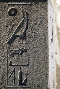 Hieroglyph with name of Horus, Great Temple of Amun, Tanis, Egypt, New Kingdom, Dynasty XIX