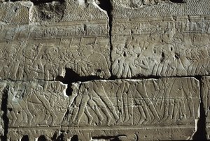 Relief, Temple of Amun, Luxor, Ancient Thebes (UNESCO World Heritage List)