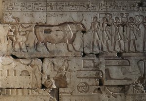 Relief, Temple of Ramses II, Abydos, Egypt by Egyptian 19th Dynasty