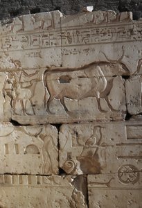 Relief, Temple of Ramses II, Abydos, Egypt, New Kingdom, Dynasty XIX by Egyptian 19th Dynasty