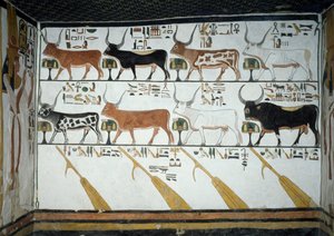 Seven Celestial Cows, Husband Bull and Four Steering Oars (detail) by Egyptian 19th Dynasty