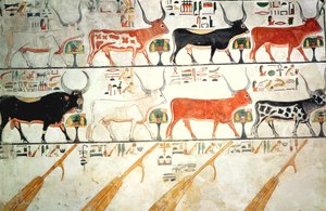 The seven celestial cows and the sacred bull and the four rudders of heaven, from the Tomb of Nefertari, New Kingdom by Egyptian 19th Dynasty