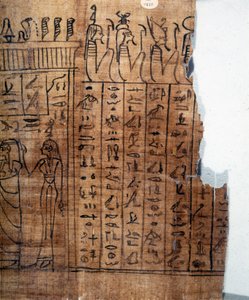 The Book of the Dead: Egyptian hieroglyph on a papyrus of the 22nd dynasty. (detail) by Egyptian 22nd Dynasty