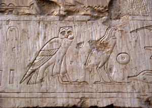 Egyptian antiquity: relief representing an owl and an eagle. Tomb of Ankh-Hor by Egyptian 26th Dynasty