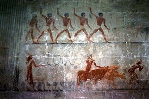 Men herding sheep and cattle from the Mastaba Chapel of Ti, Old Kingdom