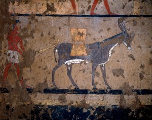 The Transport of Grain on the Back of a Mule by Egyptian Egyptian