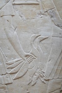 Hand holding 2 geese by the wings, Ramose