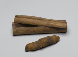 Small coffin of snake, with mummy, 664 BC-322 BC