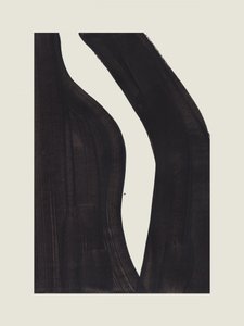 Dynamic Black Curves