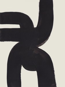 Organic Black Curves