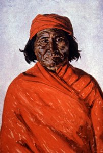 Geronimo, c.1900 by Elbridge Ayer Burbank
