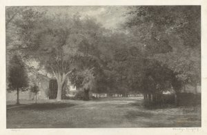 New England Elms