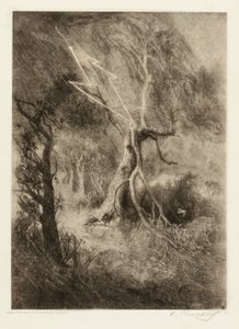 The Tragedy of a Nest by Elbridge Kingsley