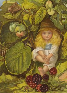 The nut bush bower