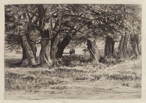 A Group of Willows by Eleazer Hutchinson Miller