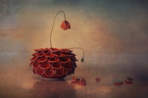  by Elena Arjona