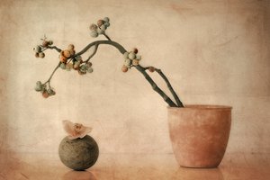 Earthy Berries and Orchid