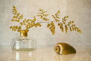 Golden Fern Still Life