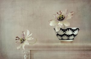 Passionflower Still Life by Elena Arjona