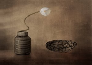 White Bloom Still Life