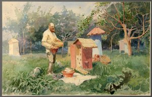 At the Bee Yard