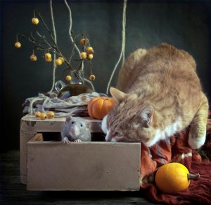 Curious Autumn Critters by Eleonora Grigorjeva