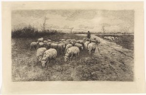 Shepherd with Flock of Sheep