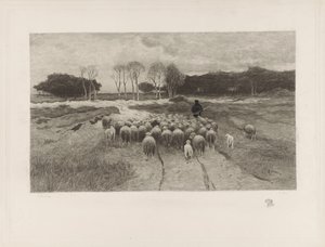 Shepherd