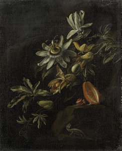 Still Life with Passionflowers by Elias van den Broeck