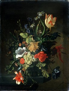 Unknown Image