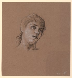 Portrait Sketch of a Young Girl