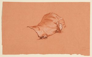 Drapery Study for Costumed Male Torso