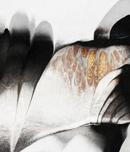 Fluid Gold Contrast by Elisabeth Fredriksson