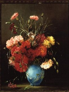 Red, White and Pink Carnations