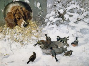 Winterguests