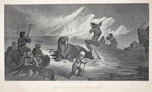 Walrus Hunt off Pikantlik, Illustration from 