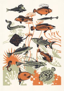 Orange Seaweed Fish by Eliza Southwood