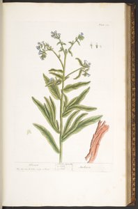 Plate 112, from 