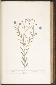 Plate 160, from 