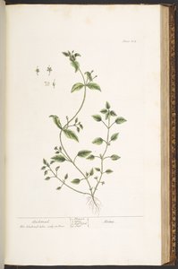 Plate 164, from 