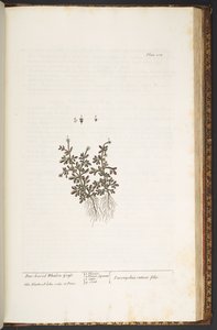 Plate 212, from 