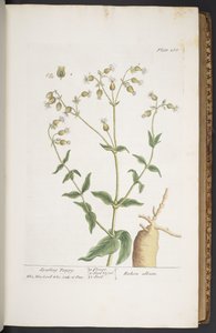 Plate 268, from 