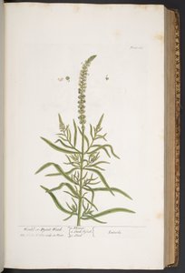 Plate 283, from 